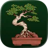 Bonsai app logo
